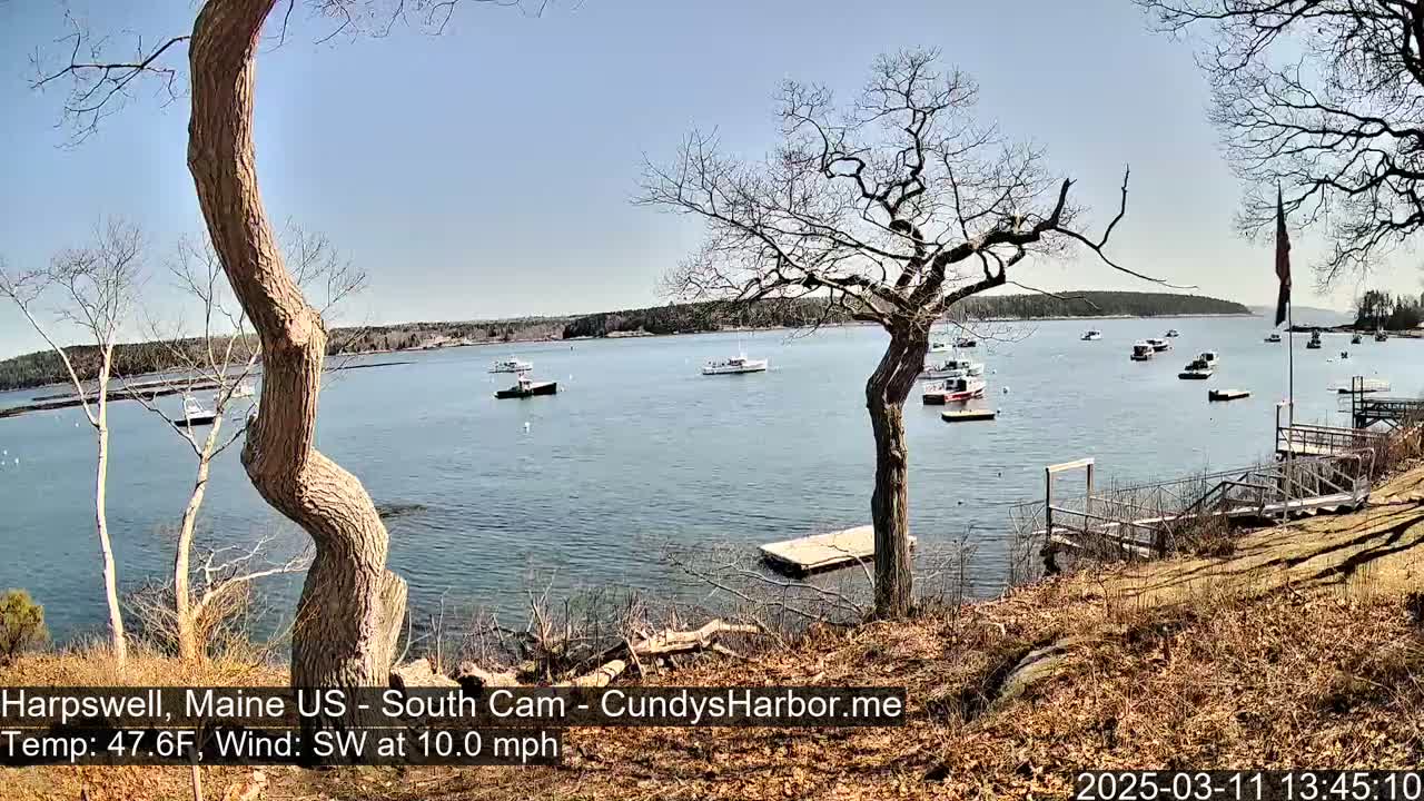 A calm, sunny day reveals a harbor dotted with several small boats, viewed from a rocky shoreline with leafless trees and a wooden dock.