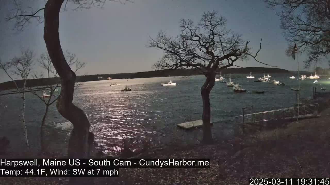 Under a twilight sky with a southwest wind at 7 mph and a temperature of 44.1°F, numerous boats are moored in a calm body of water near a shoreline with bare trees.