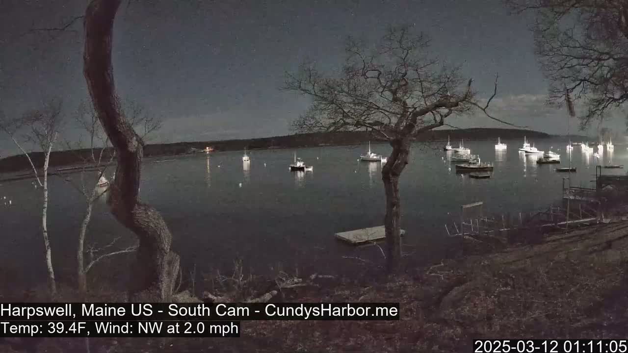 Several boats are moored in a calm harbor at night under a mostly clear, starry sky.