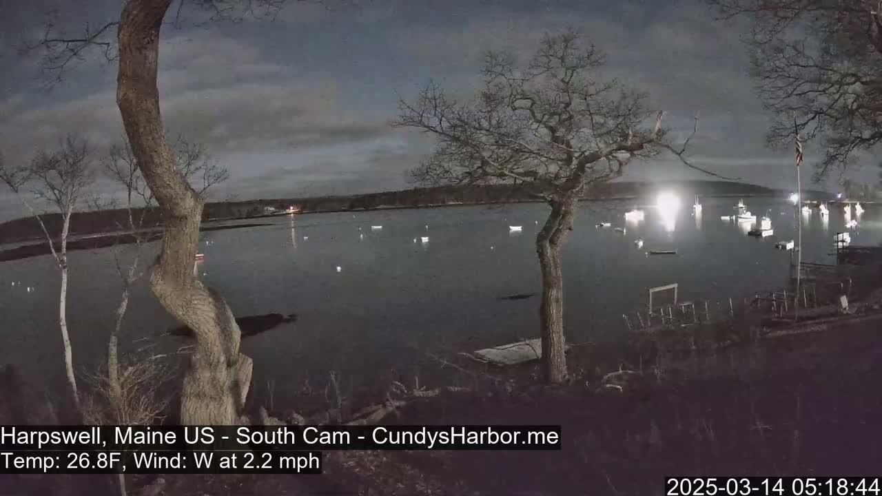Under a dark, cloudy night sky, several boats are moored in a calm body of water, observed from a shoreline with leafless trees.