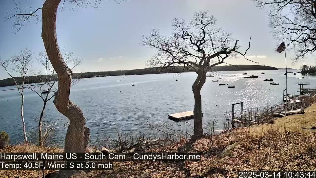 A calm, sunny day shows a body of water with several small boats, viewed from a shoreline with leafless trees and a wooden dock.