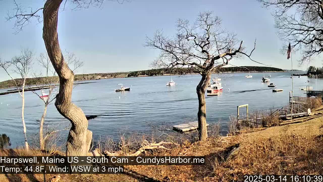 A calm body of water with several small boats, viewed from a shoreline with bare trees and brown grass under a clear blue sky.