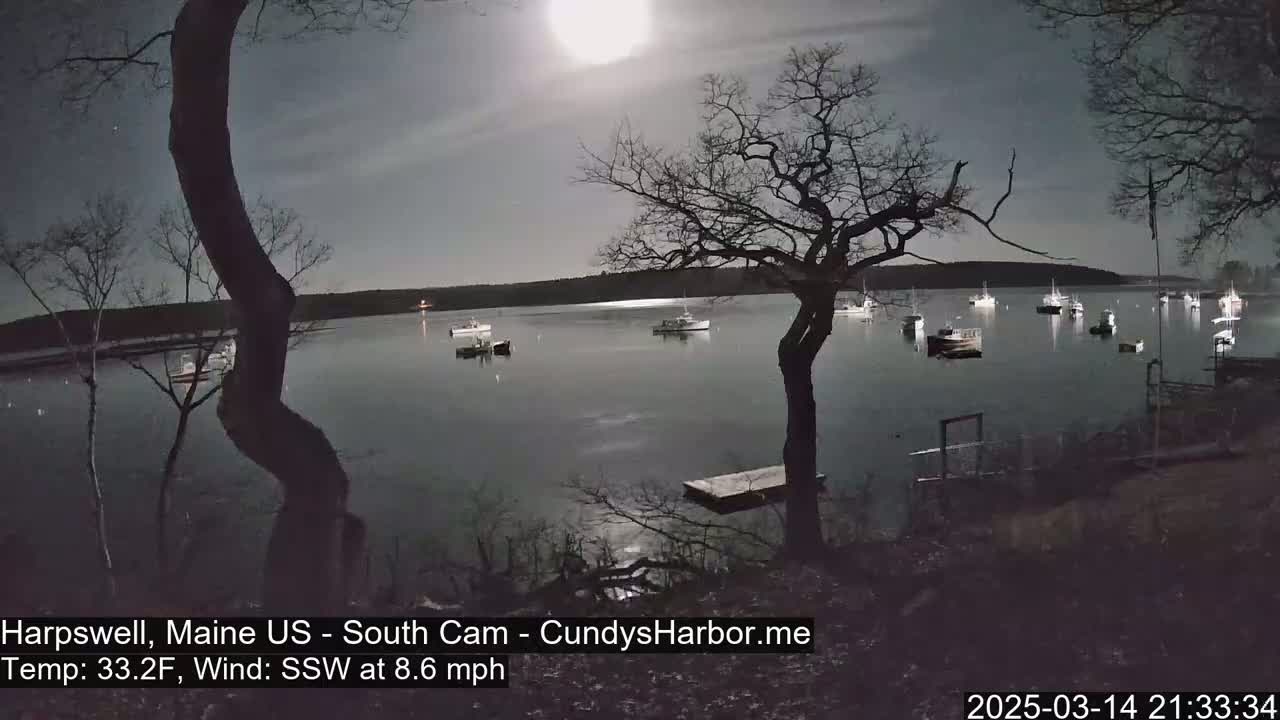 Under a bright moon and a calm sky, numerous boats are moored in a dark, still body of water, viewed from a shoreline with bare trees.