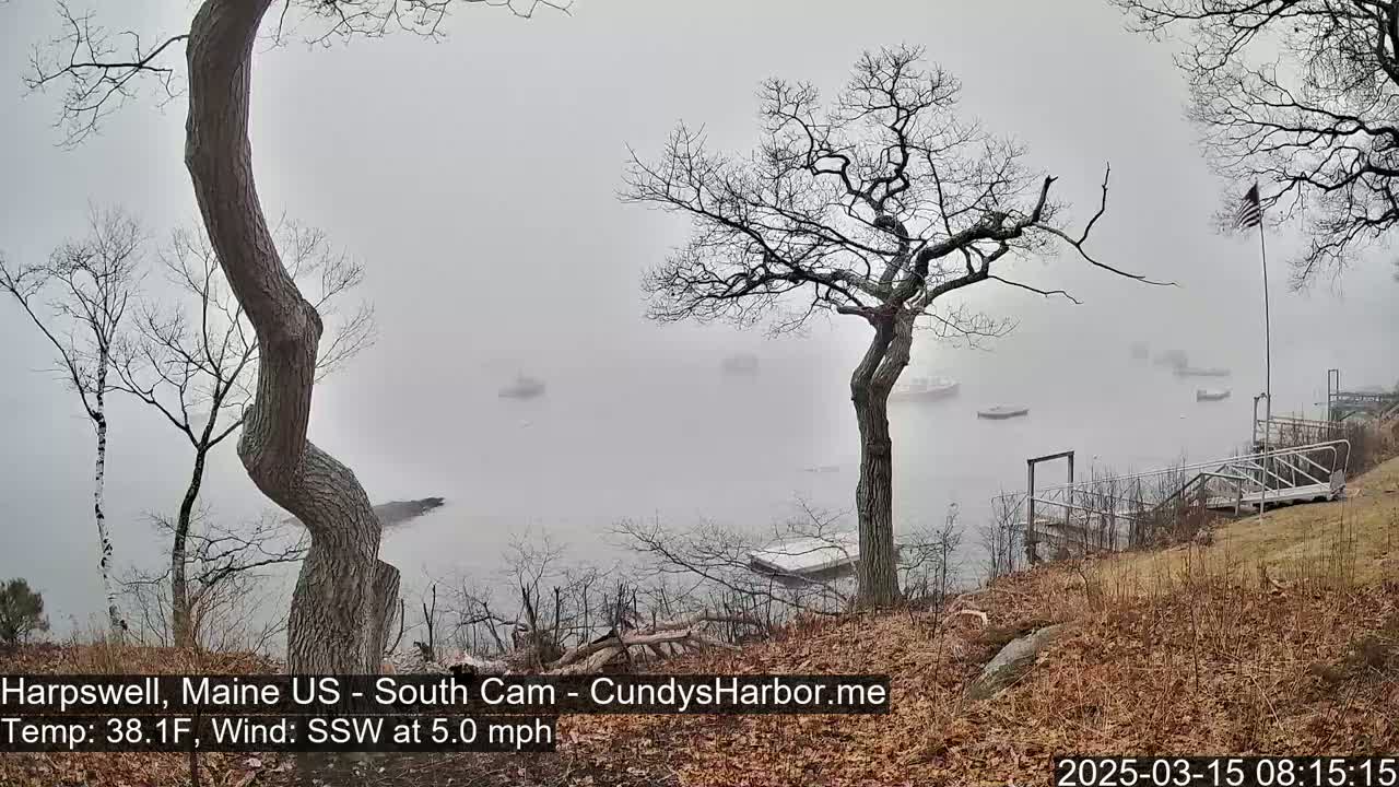 A foggy coastal scene shows several boats on the water, viewed from a hillside with bare trees and a dock in the foreground.