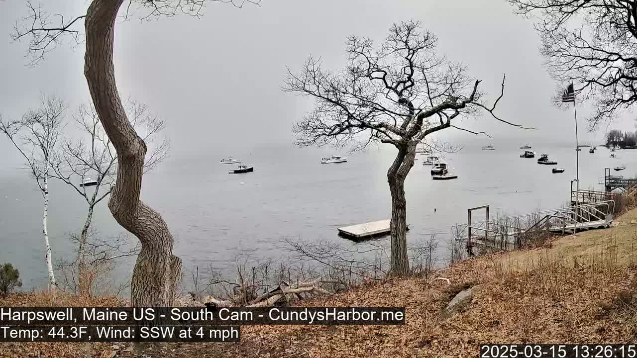 A gray, overcast day reveals a calm body of water dotted with numerous small boats, viewed from a shoreline with bare trees and a wooden dock.