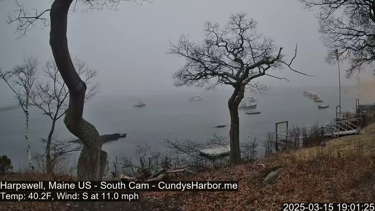 Several boats are moored in a foggy harbor, viewed from a rocky shore with leafless trees.