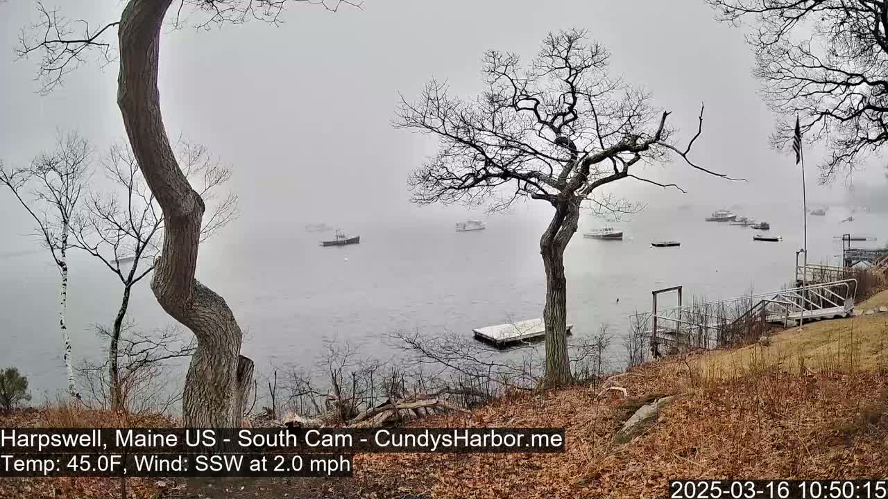 A foggy waterfront scene shows several boats moored in the water, with bare trees and a grassy hillside in the foreground.
