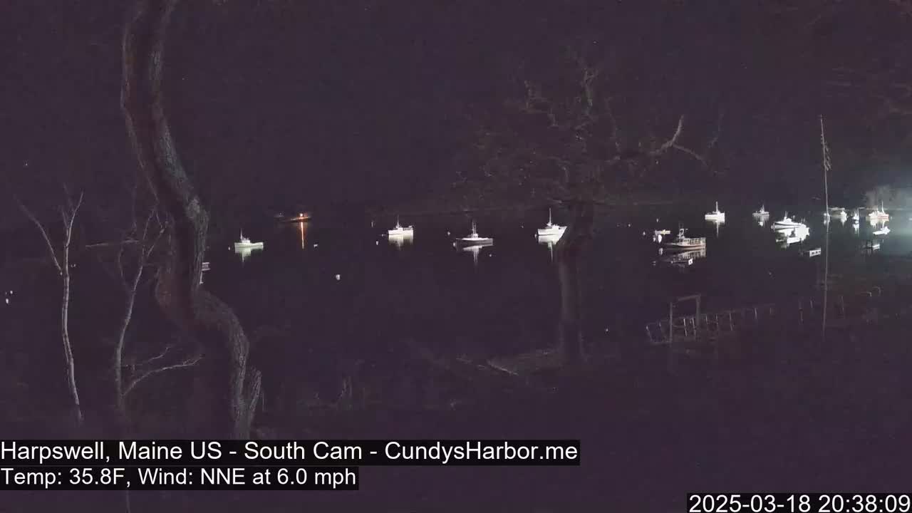 Several boats are moored in a dark harbor at night under a clear sky, with a gentle north-northeast wind.