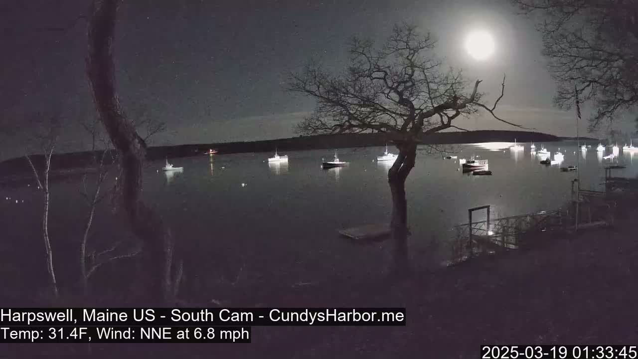 A bright moon illuminates several boats in a calm harbor at night, with a bare tree in the foreground and a slight wind.