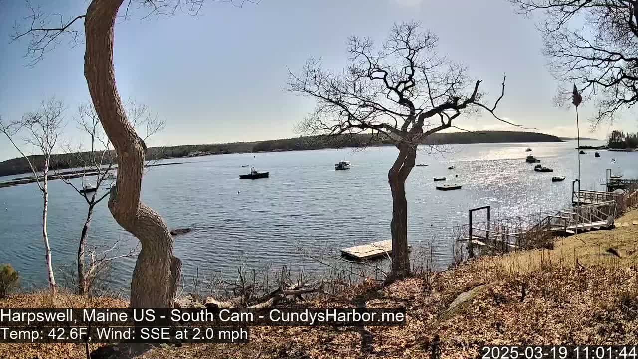 A calm, sunny day shows a body of water with several boats, viewed from a shoreline with bare trees and a small dock.