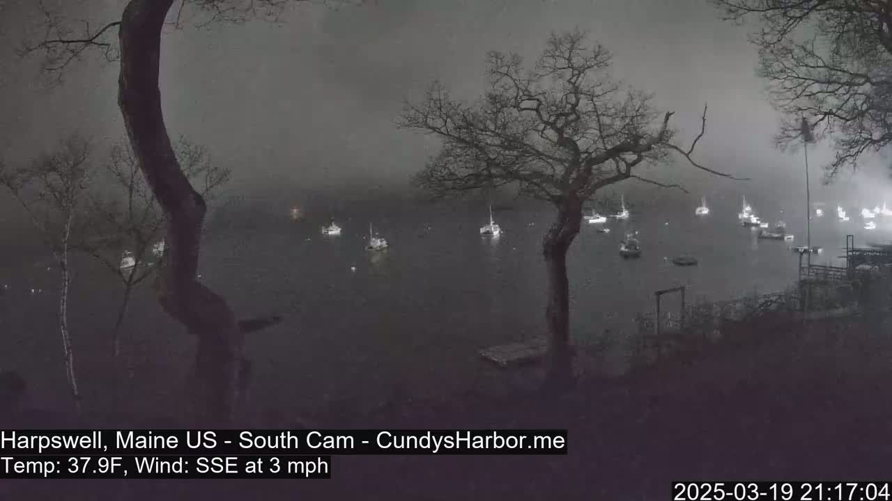 A nighttime, foggy view of numerous boats in a harbor, seen from a vantage point on land with bare trees.