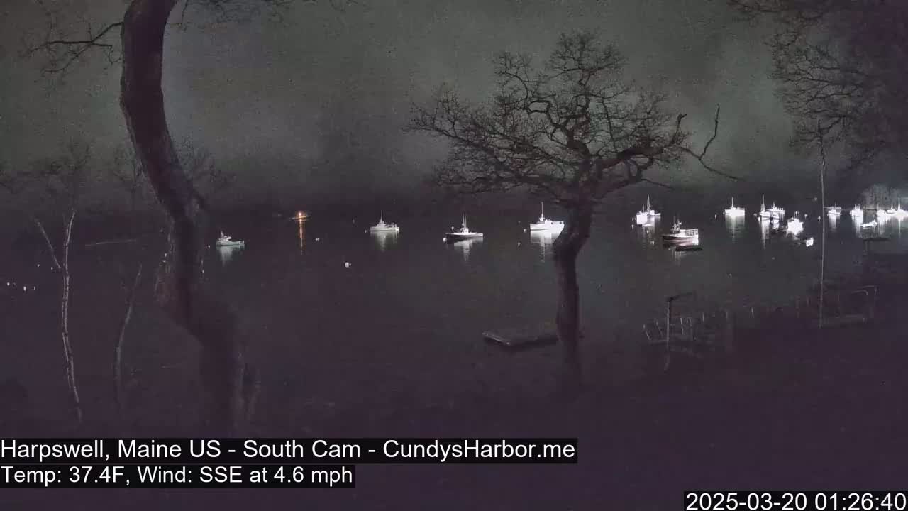Several boats are moored in a dark, calm harbor at night under a cloudy sky.