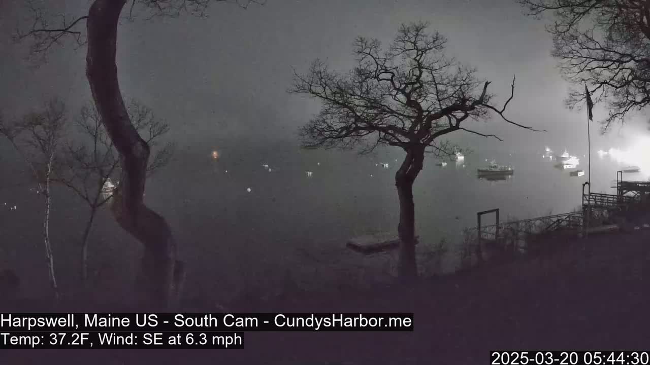 A foggy nighttime scene shows a body of water with several boats, viewed from a vantage point among bare trees with a 37.2°F temperature and a 6.3 mph southeast wind.