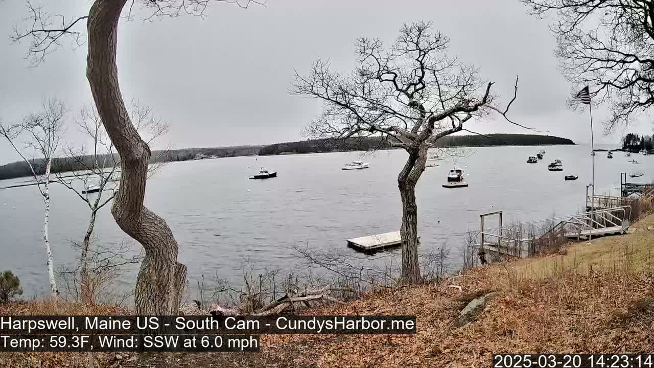 A calm, overcast day reveals several boats on a body of water viewed from a shoreline with leaf-strewn ground and bare trees.