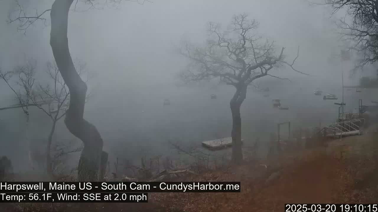 A foggy scene shows a body of water with several boats and a dock, viewed from a slightly elevated vantage point amongst bare trees.