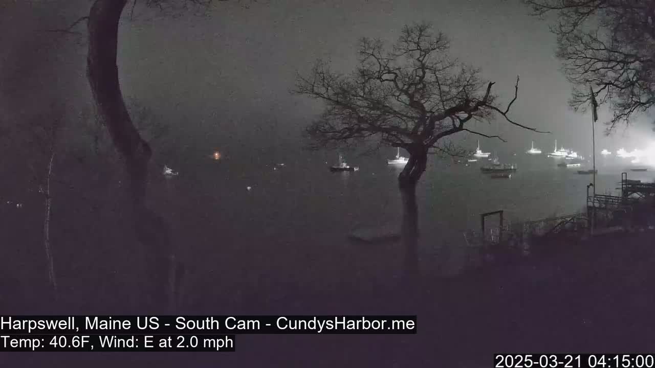 A nighttime view of a harbor with several boats, seen through bare trees under foggy conditions.