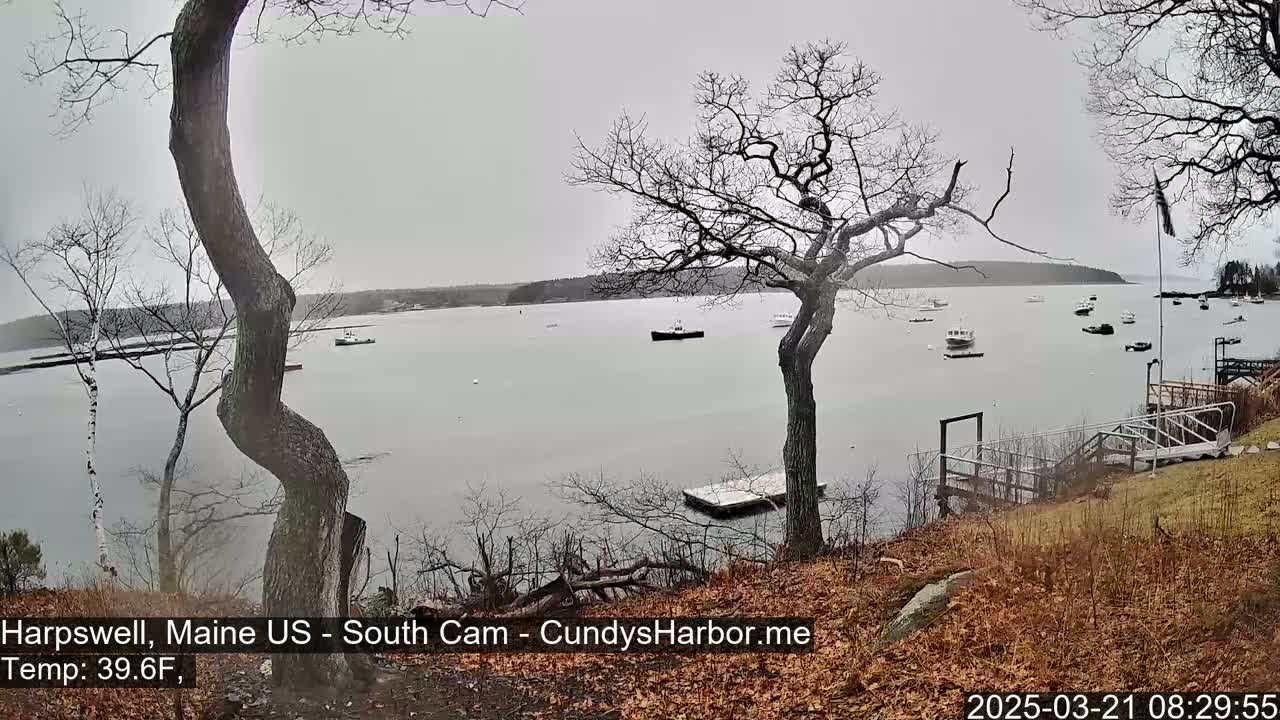 A calm bay with several boats is viewed from a slightly elevated position on land, under an overcast sky.