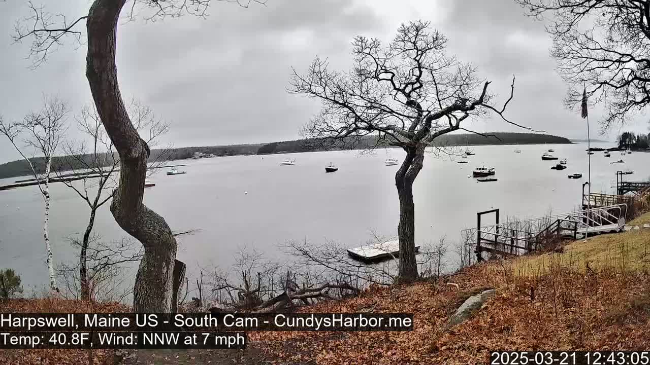 A calm, overcast day shows a body of water with several boats, viewed from a shoreline with bare trees and a wooden dock.