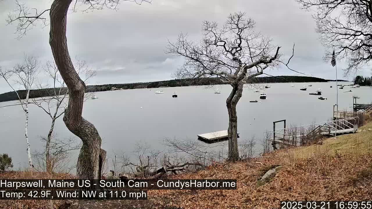 A calm, gray day shows several boats moored in a bay, viewed from a shoreline with leafless trees and a small dock.