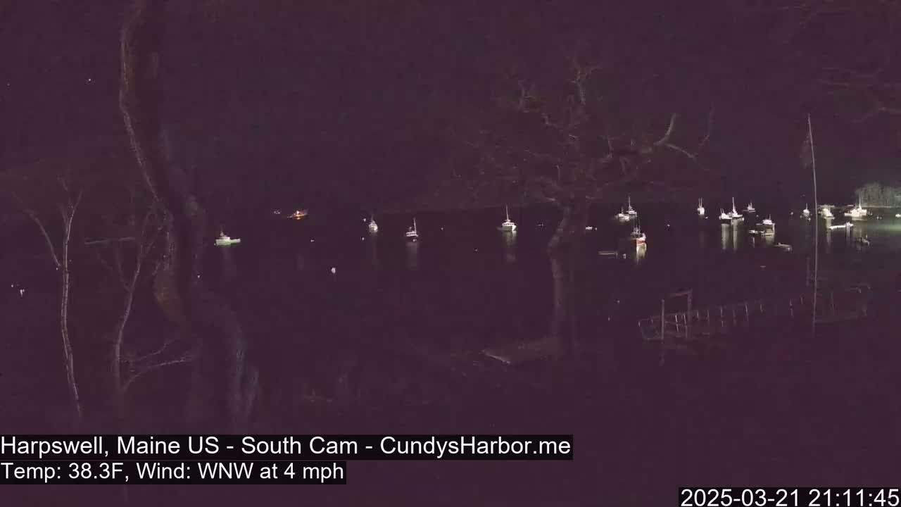 Several boats are moored in a dark body of water at night under a clear sky, with a slight wind.