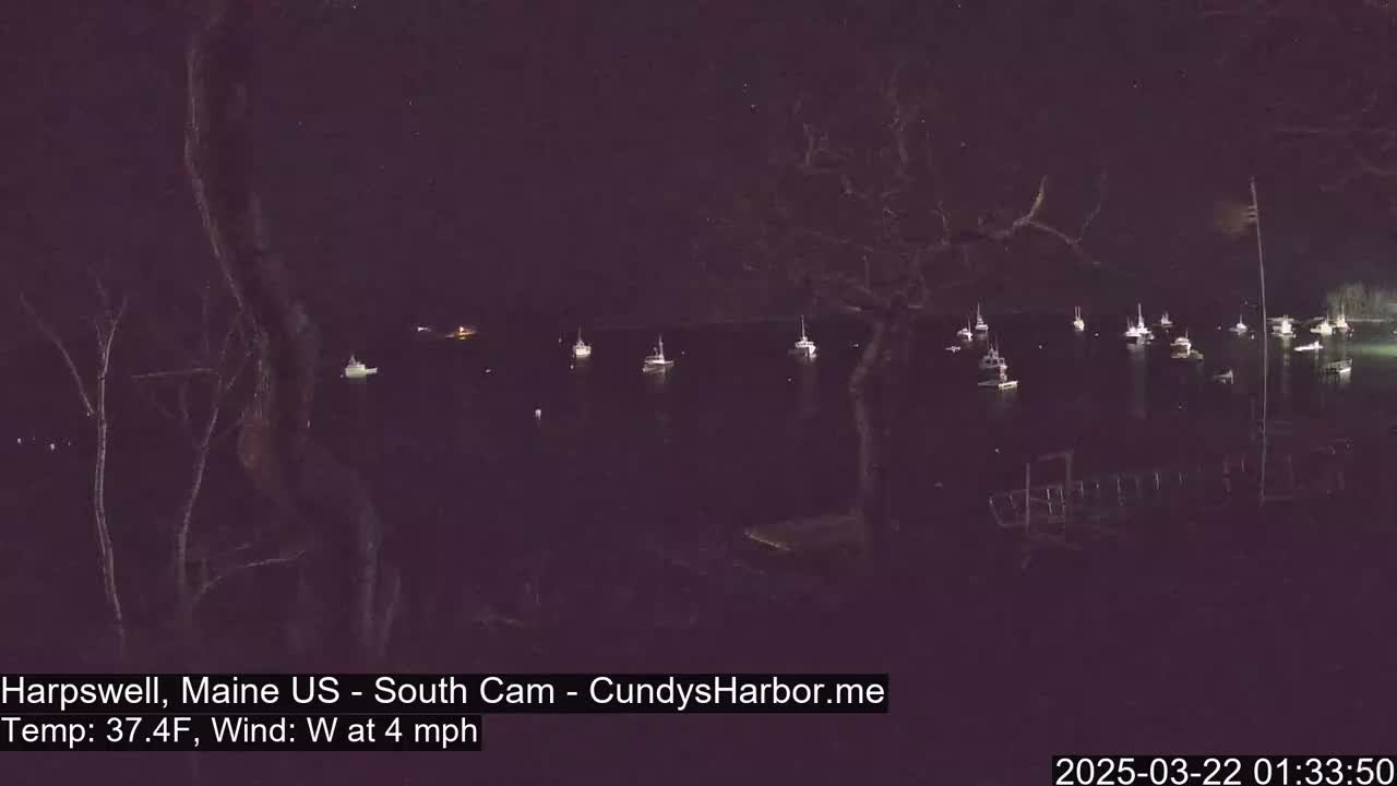 At night, numerous boats are moored in a calm body of water under a dark, starlit sky with a light westerly wind.