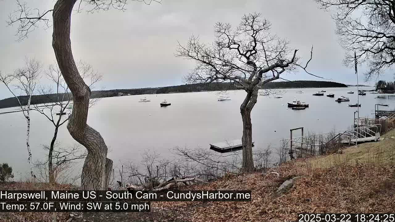 Several boats are moored in a calm body of water under an overcast sky, viewed from a shoreline with leaf-strewn ground and bare trees.