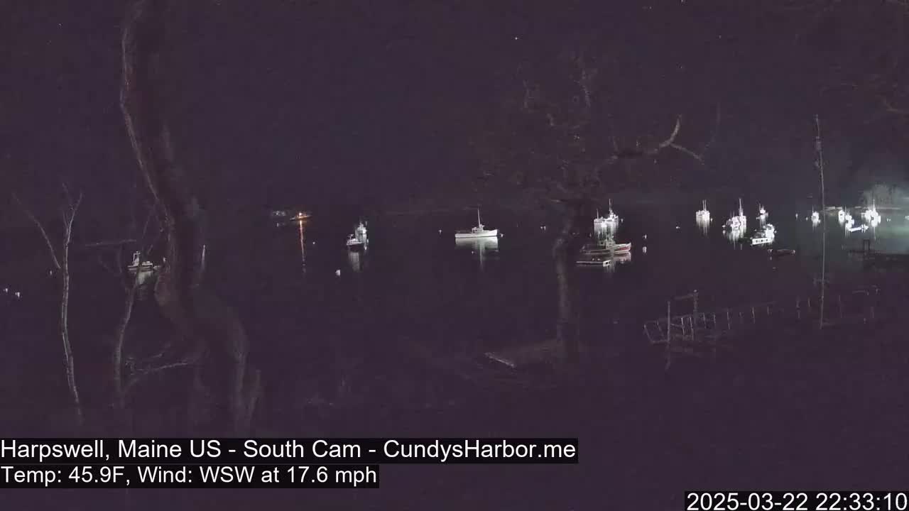 Several boats are moored in a dark harbor at night under a clear sky.