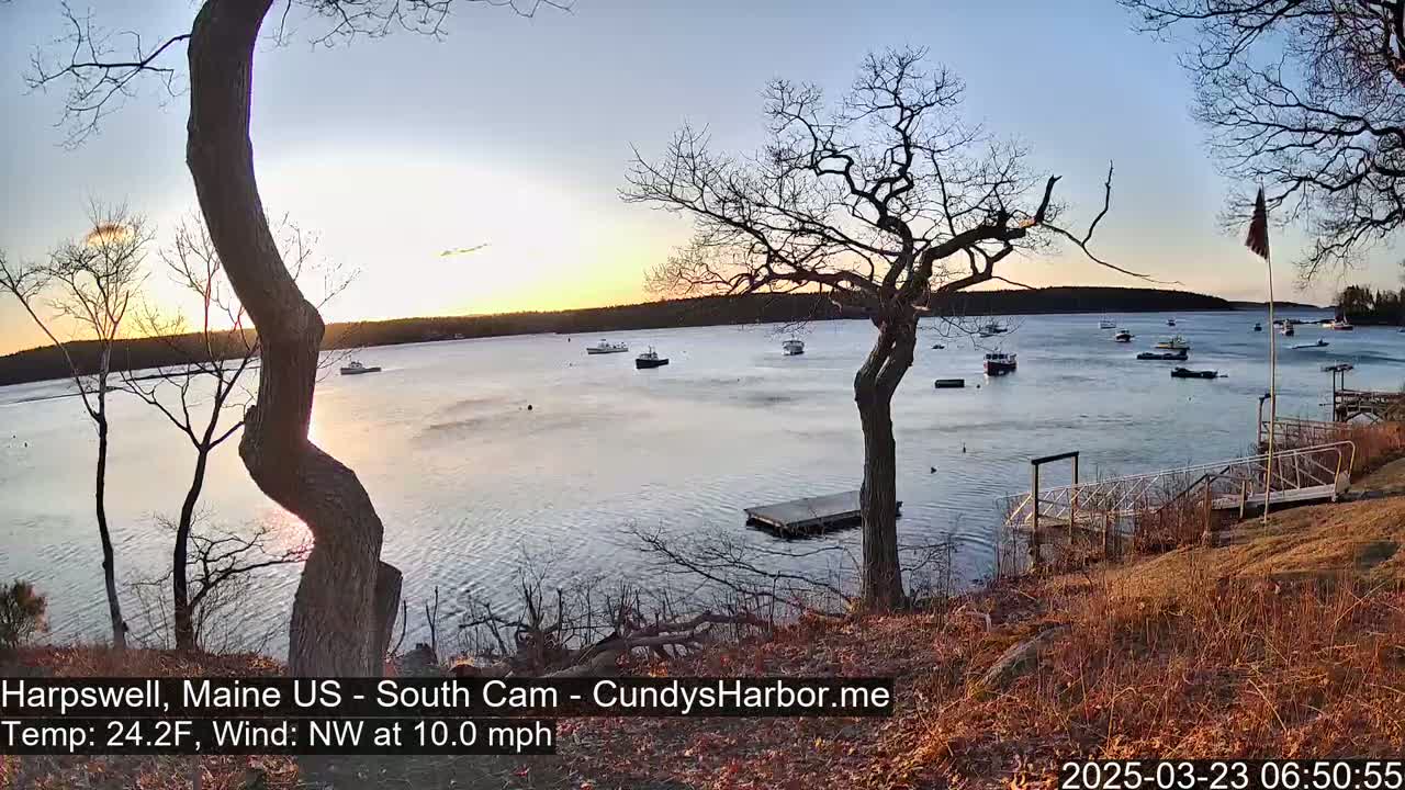 A calm bay at sunset is dotted with several small boats, viewed from a grassy hill overlooking a wooden dock and bare trees under a clear sky.
