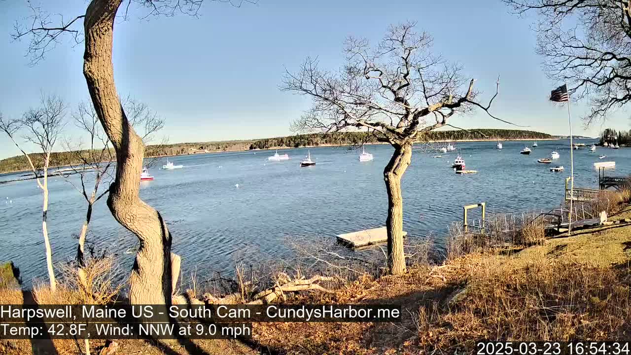 A calm, sunny day with a 9 mph north-northwest wind shows a view of a bay with several boats from a waterfront perspective, featuring bare trees and a wooden dock in the foreground.