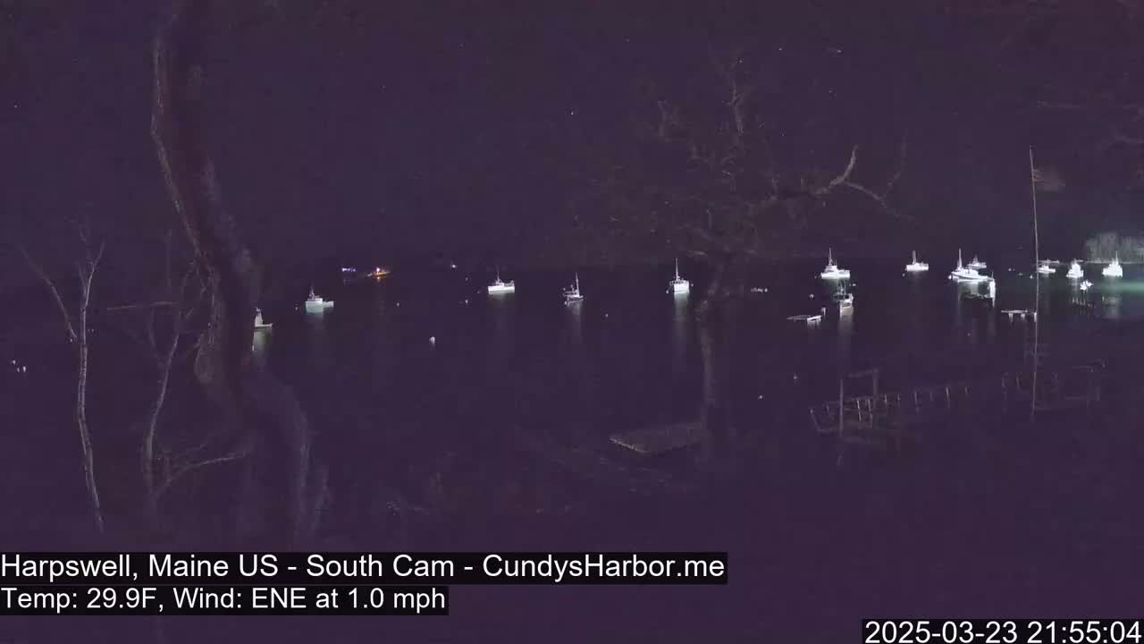 Several boats are moored in a dark body of water at night under a clear, starry sky.