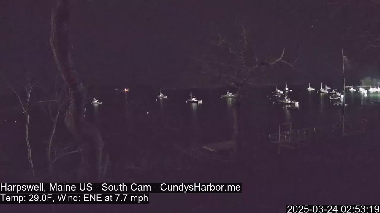 Many boats are moored in a dark harbor at night under a clear sky, with a light wind.