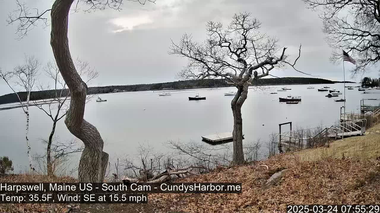 A calm, gray day shows several boats moored in a harbor, viewed from a waterfront vantage point with leafless trees and a wooden dock.