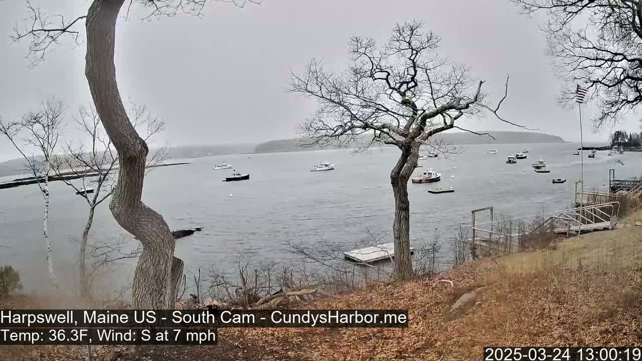 A calm body of water with several boats is viewed from a shoreline with bare trees and a wooden dock under an overcast sky.