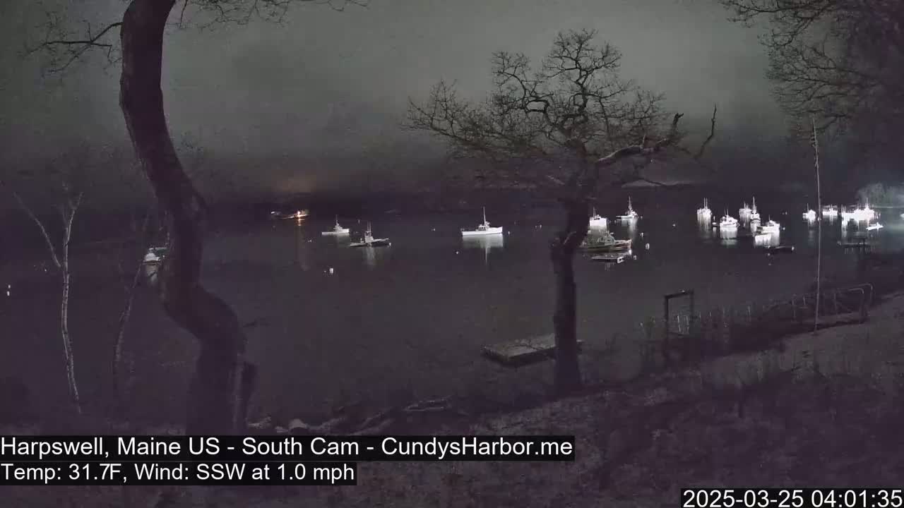 A nighttime view of a harbor with numerous boats, under a dark, overcast sky with a light south-southwesterly wind.