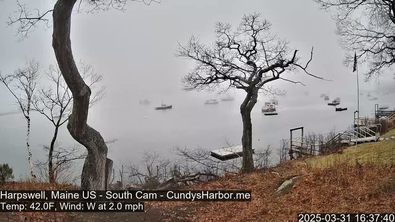 Several boats are moored in a foggy harbor, viewed from a rocky shoreline with leafless trees and a wooden dock.