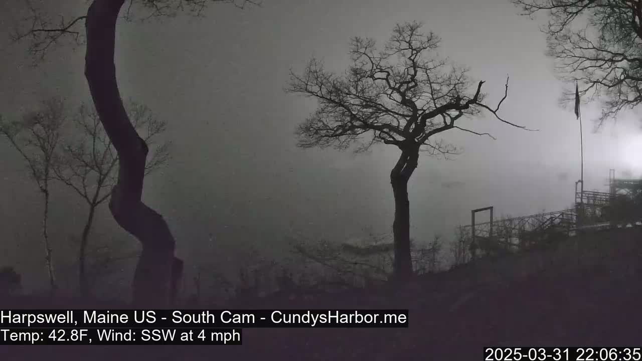 Silhouetted trees and a partially visible structure are seen in a foggy, overcast landscape with a 4 mph wind.