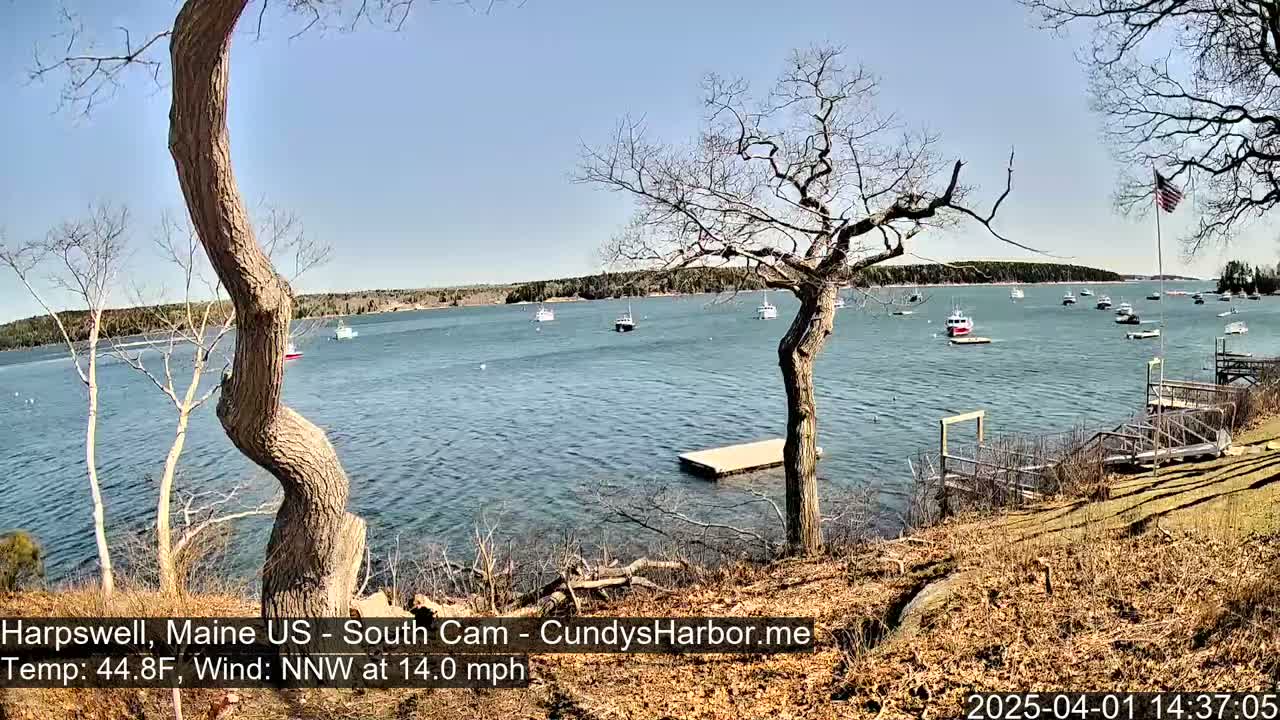 A calm bay with numerous boats is viewed from a shoreline with leafless trees and a small dock under a clear blue sky.