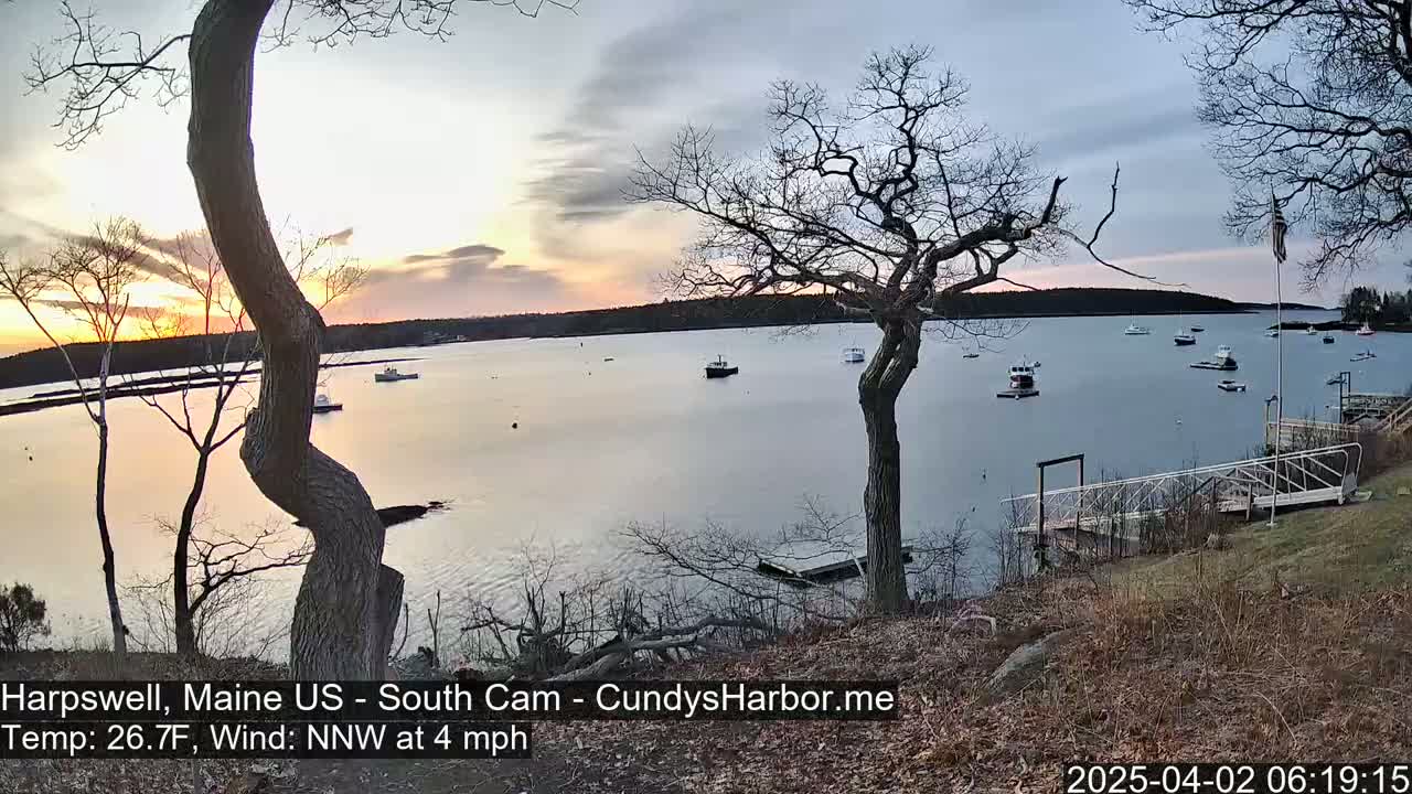 Several boats are moored in a calm harbor at sunset, viewed from a shoreline with leafless trees and a small dock.