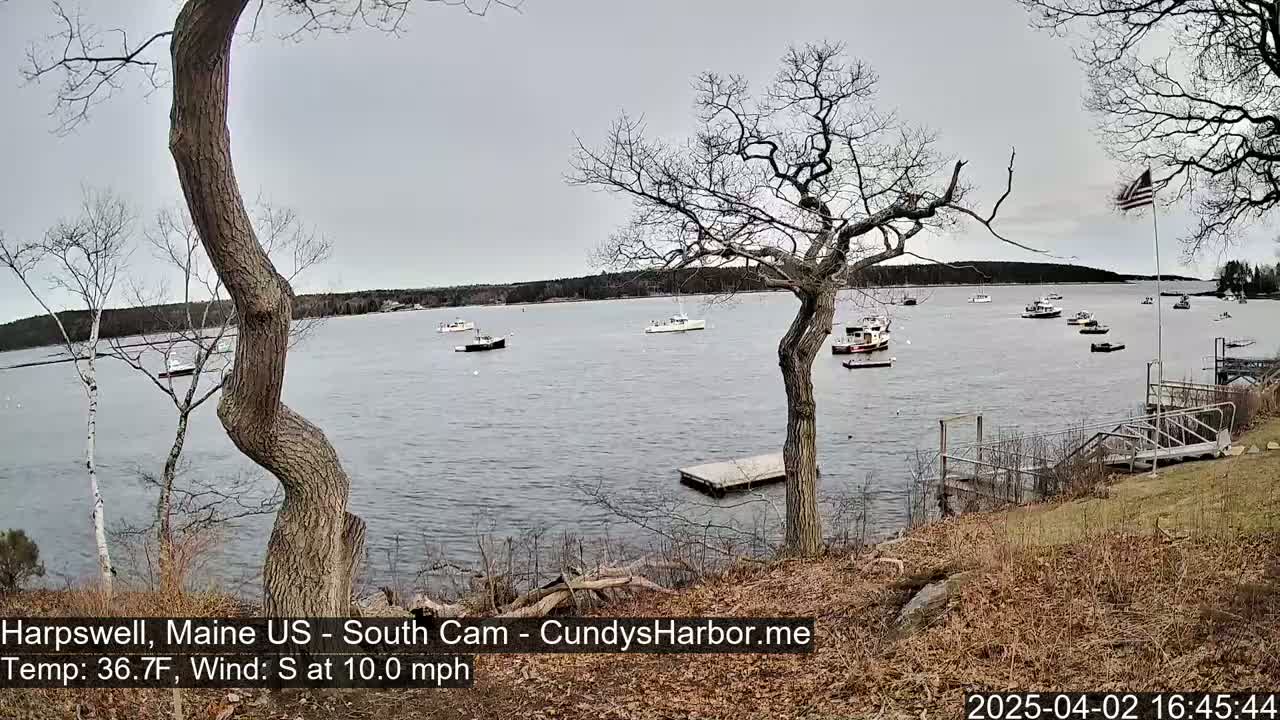 Several boats are moored in a calm bay under an overcast sky, viewed from a shoreline with bare trees and dry grass.