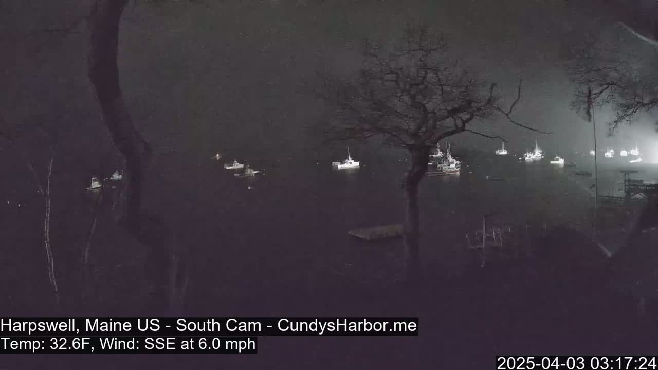Numerous boats are moored in a dark harbor at night under a SSE wind of 6.0 mph and a temperature of 32.6°F.