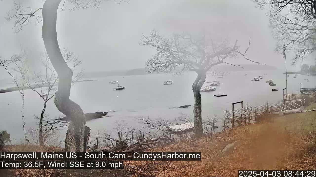 A foggy, gray day reveals a calm body of water dotted with several small boats, viewed from a shoreline with bare trees and a wooden dock.