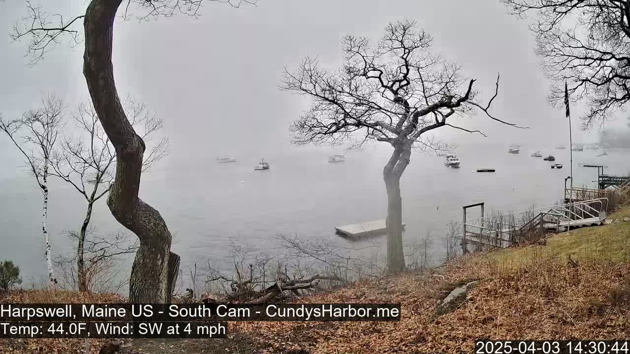 A foggy waterfront scene shows several boats on calm water, viewed from a shoreline with bare trees and a small dock.