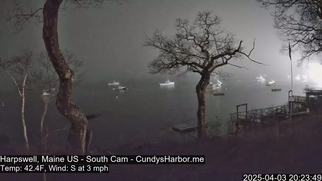 Several boats are moored in a foggy harbor at night, viewed from a shoreline with bare trees.