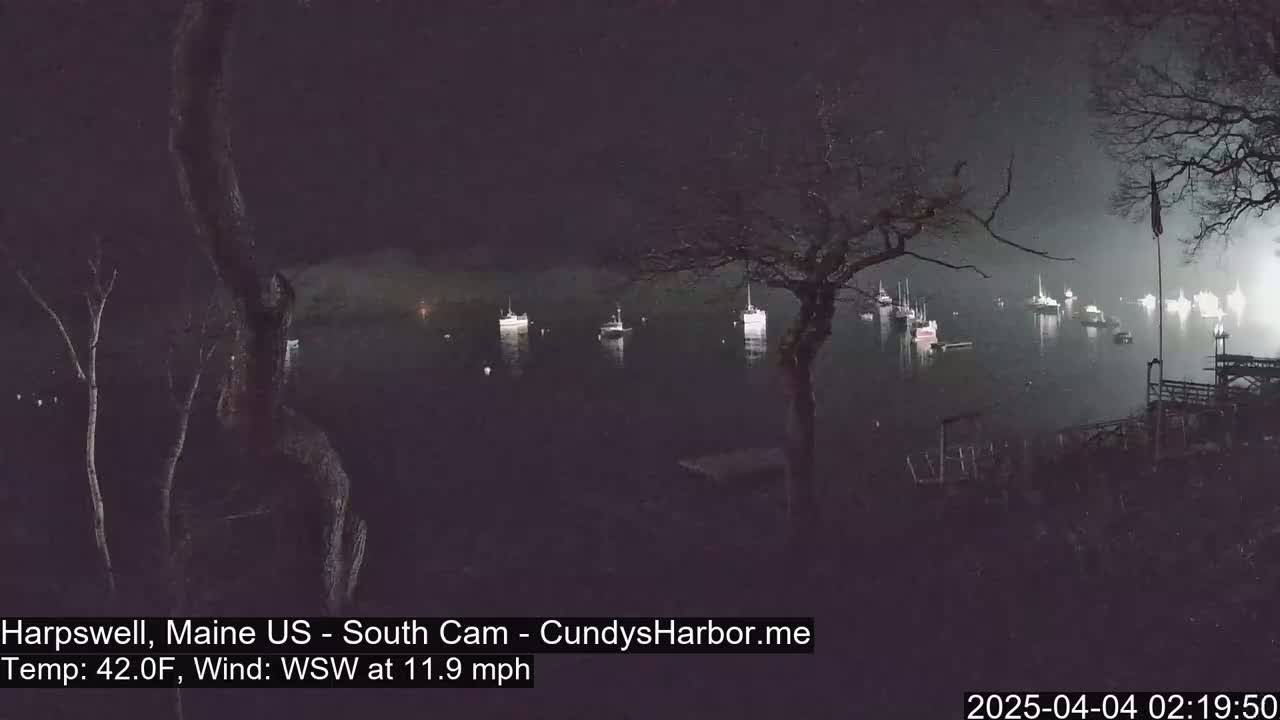 Several boats are moored in a dark harbor at night under a misty sky, with a wind blowing from the west-southwest at 11.9 mph and a temperature of 42°F.