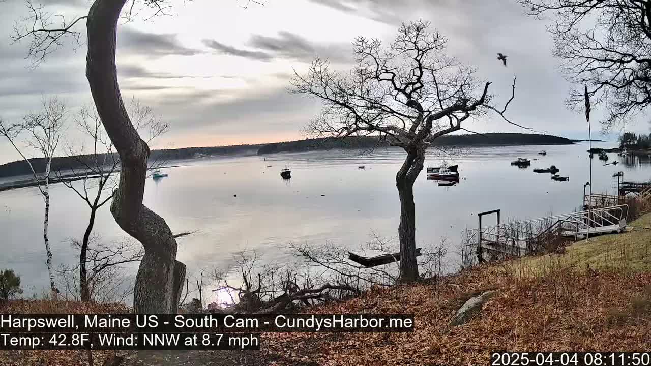 A calm bay with several boats is viewed from a high vantage point on a cloudy day, with bare trees in the foreground and a small dock leading down to the water.