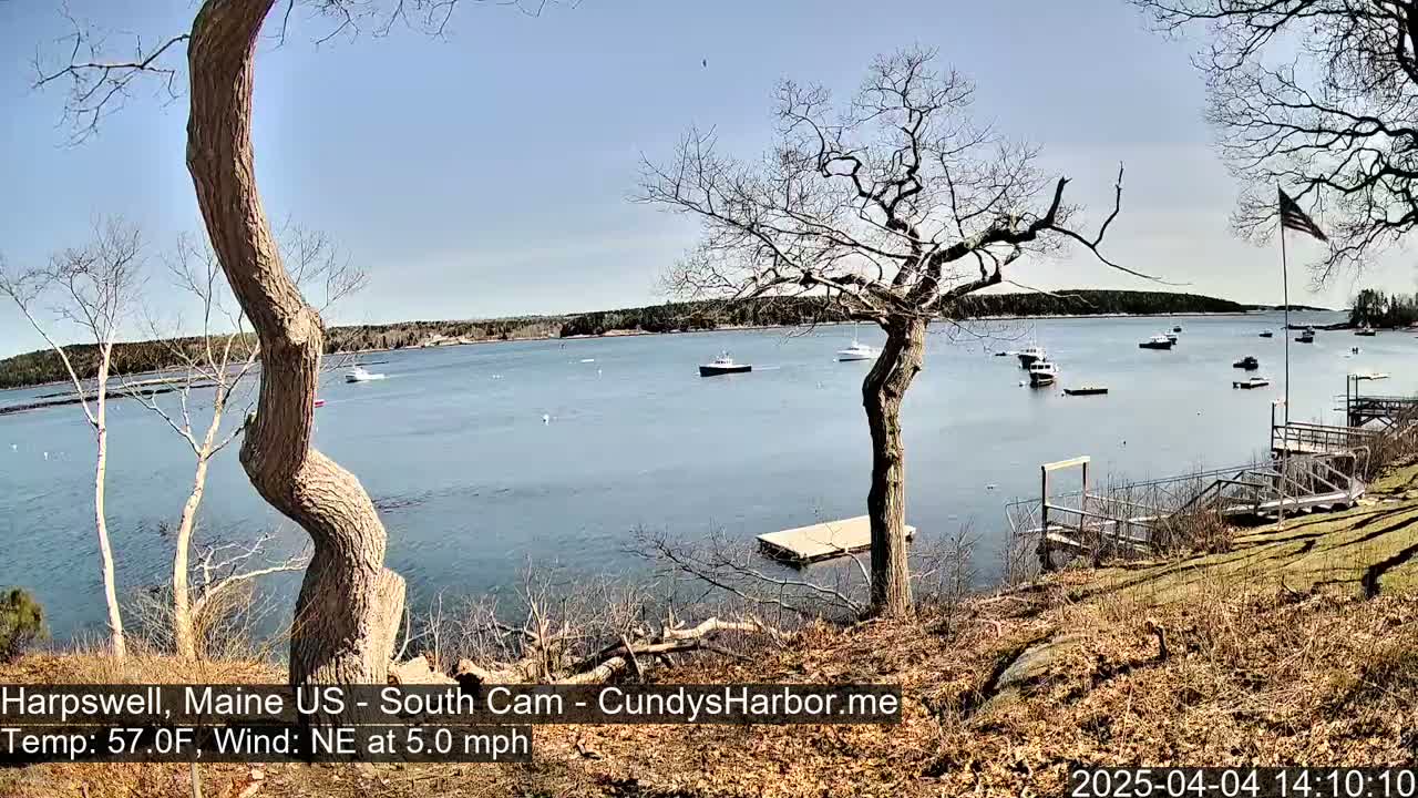 A calm bay with several boats is viewed from a shoreline with leafless trees and a wooden dock under a clear blue sky.