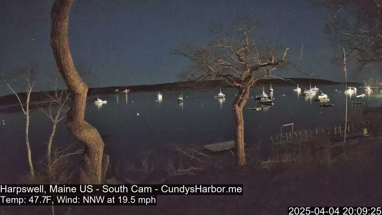 A nighttime view of a calm harbor with numerous boats, seen from a shoreline with bare trees under a dark sky and a northwest wind.