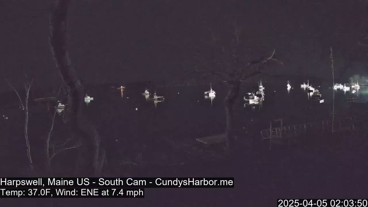 A nighttime view of a harbor with numerous boats moored, under a dark sky with a 7.4 mph east-northeast wind and a temperature of 37°F.