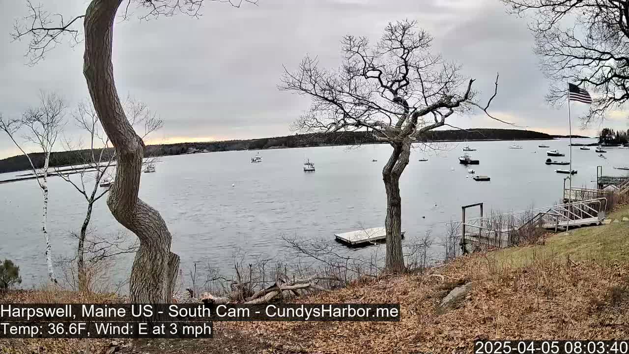 A calm bay with several boats is viewed from a shoreline with leaf-covered ground and bare trees under an overcast sky.