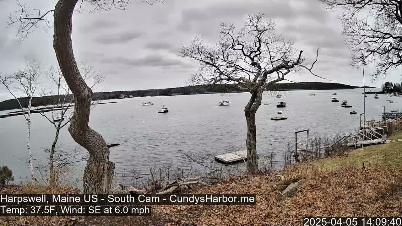 A calm, overcast day reveals several boats on a bay, viewed from a shoreline with bare trees and a wooden dock.